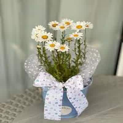 اهنگ yuxum çin olmaz با صدای زن با پیانو ریمیکس بیس دار اینستا اهنگ yuxum çin olmaz با صدای زن با پیانو ریمیکس بیس دار اینستا