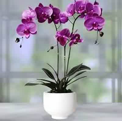 اهنگ unuturum elbet با صدای زن ریمیکس اینستا (دستت رو یکی دیگ گرفته) اهنگ unuturum elbet با صدای زن ریمیکس اینستا (دستت رو یکی دیگ گرفته)