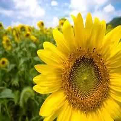 اهنگ dayanamiyorum با صدای زن ریمیکس اینستا اهنگ dayanamiyorum با صدای زن ریمیکس اینستا