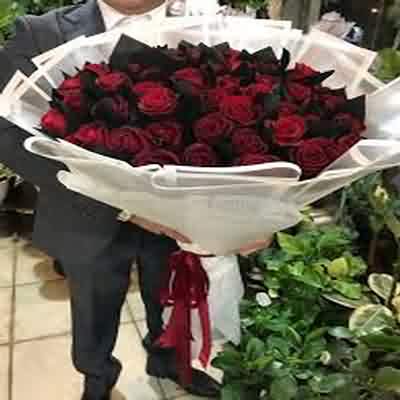 دانلود آهنگ سرگردون مهراد هیدن و کاویانو ریمیکس اینستا