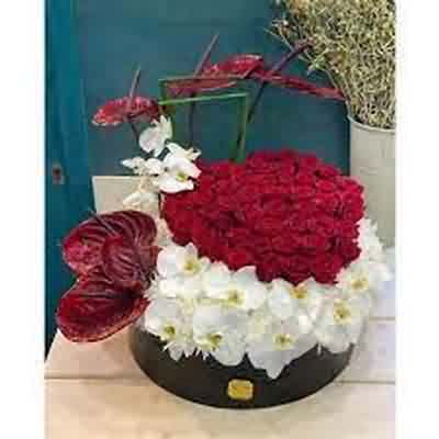 اهنگ تو نفسی همه کسی بمان برایم با صدای زن اهنگ تو نفسی همه کسی بمان برایم با صدای زن