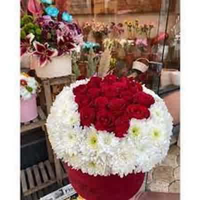 اهنگ قد بلند به به گل ابرو کمند به به با صدای زن ریمیکس اینستا اهنگ قد بلند به به گل ابرو کمند به به با صدای زن ریمیکس اینستا