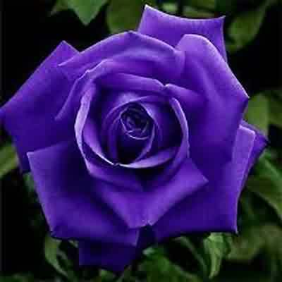 اهنگ اهای خوشگل عاشق با صدای زن ریمیکس اینستا با گیتار اهنگ اهای خوشگل عاشق با صدای زن ریمیکس اینستا با گیتار