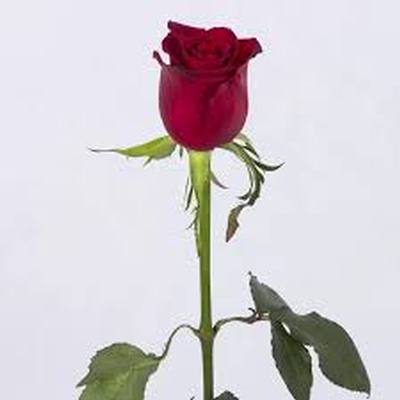 اهنگ виртуальная любовь ریمیکس (لالا لالا) صدای زن اهنگ виртуальная любовь ریمیکس (لالا لالا) صدای زن