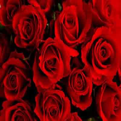 آهنگ جدید اصلا تقصیر منه زیادی خوبم با صدای زن ریمیکس اینستا هایده