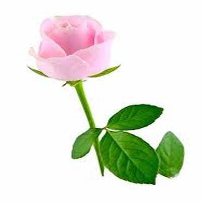 اهنگ خوشا ای دل بال و پر زدنت با صدای زن ریمیکس اینستا