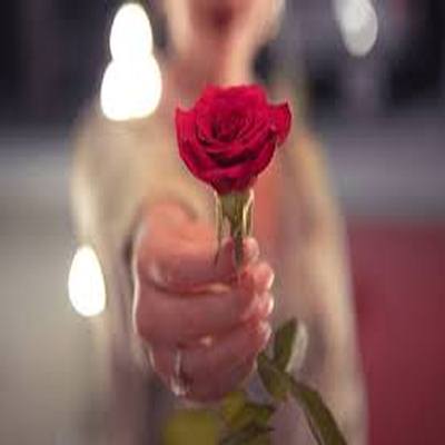 اهنگ مه نه مهندس او نه دکترم پوریا دالوند (ریمیکس کردی اینستا)