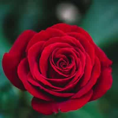 اهنگ عشق یعنی خودت بیا درد چشات به سرم با صدای زن