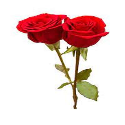 اهنگ همه میگن به فکرش نباش با صدای زن ریمیکس اینستا اهنگ همه میگن به فکرش نباش با صدای زن ریمیکس اینستا