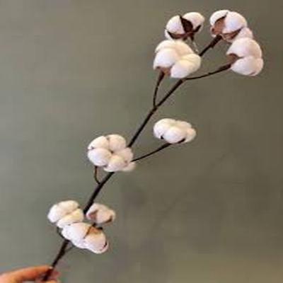 اهنگ عوض شدی گمت کردم با پای خودت برگرد ریمیکس اینستا کامل اهنگ عوض شدی گمت کردم با پای خودت برگرد ریمیکس اینستا کامل