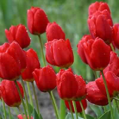 اهنگ جون به لبهام رسیده تا به کی در به دری با صدای زن سوگند ریمیکس اینستا اهنگ جون به لبهام رسیده تا به کی در به دری با صدای زن سوگند ریمیکس اینستا