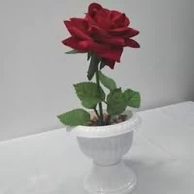 دانلود اهنگ سن بیر آیسین با صدای زن ریمیکس اینستا دانلود اهنگ سن بیر آیسین با صدای زن ریمیکس اینستا
