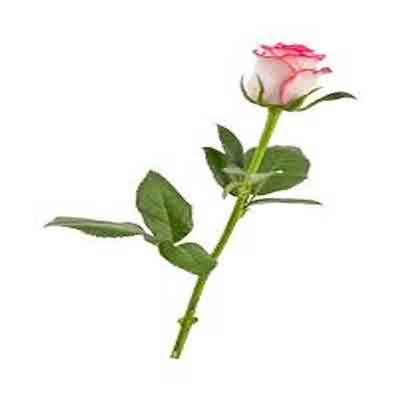 اهنگ ameen beats yeta بی کلام ریمیکس اینستا اهنگ ameen beats yeta بی کلام ریمیکس اینستا
