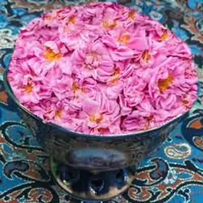 اهنگ نوشو نوشو فهیمه اکبر ریمیکس با صدای زن اهنگ نوشو نوشو فهیمه اکبر ریمیکس با صدای زن