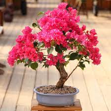 اهنگ وای دیگه رد داده مغزم ریمیکس اینستا اهنگ وای دیگه رد داده مغزم ریمیکس اینستا