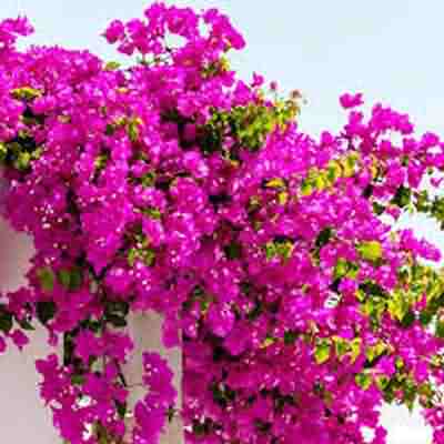 اهنگ تو کجای قصه ای فقط کافیه بگی با صدای زن ریمیکس اینستا اهنگ تو کجای قصه ای فقط کافیه بگی با صدای زن ریمیکس اینستا