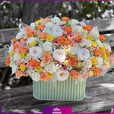 اهنگ دیر کردی ببین از زندگی جا ماندم با صدای زن هایده و چاوشی ریمیکس اینستا اهنگ دیر کردی ببین از زندگی جا ماندم با صدای زن هایده و چاوشی ریمیکس اینستا