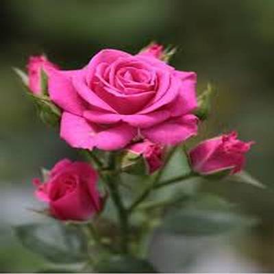 اهنگ هیپهاپولوژیست YDB ریمیکس اینستا