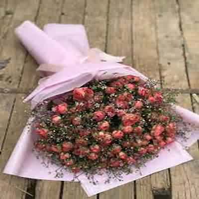 اهنگ قویما دونه گوزیاشیم با صدای زن ریمیکس اینستا اهنگ قویما دونه گوزیاشیم با صدای زن ریمیکس اینستا