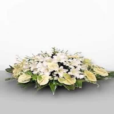 اهنگ بی معرفت کجایی درگیر خاطراتم با صدای زن هایده و چاوشی ریمیکس اینستا اهنگ بی معرفت کجایی درگیر خاطراتم با صدای زن هایده و چاوشی ریمیکس اینستا