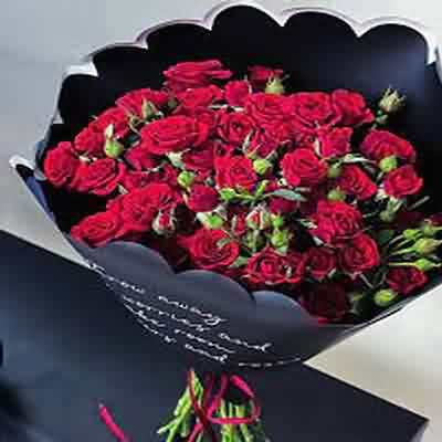 اهنگ ترکی نتونستم دریا را بشکافم با صدای زن یمیکس اینستا