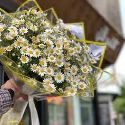 اهنگ طبیعت ۲ مهدیار ریمیکس اینستا کامل