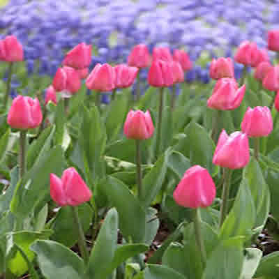 اهنگ بارون اومد و یادم داد با صدای زن هایده کامل ریمیکس اینستا