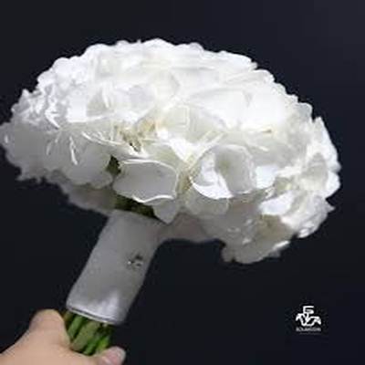 اهنگ از کفم رفتی و دل تنهای تنها مانده با صدای زن ریمیکس اینستا اهنگ از کفم رفتی و دل تنهای تنها مانده با صدای زن ریمیکس اینستا