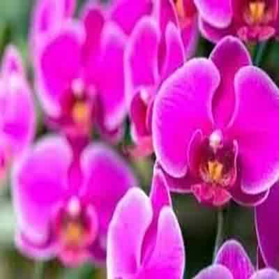 اهنگ بیا منو از این شبا ردم کن با صدای زن هایده ریمیکس اینستا اهنگ بیا منو از این شبا ردم کن با صدای زن هایده ریمیکس اینستا