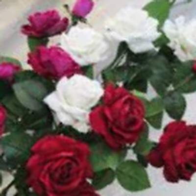 اهنگ خیلی برات متاسفم حال منو زدی بهم با صدای زن ریمیکس اینستا