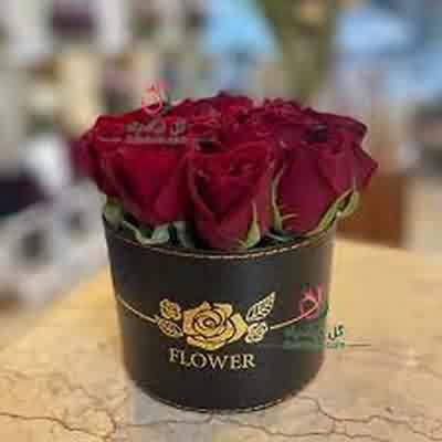 دانلود اهنگ سرتو ننداز پایین ریمیکس غمگین اینستا شایع