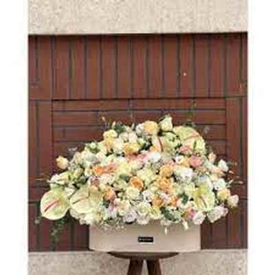 اهنگ تو صدای سازمی رگ خوابمی ریمیکس اینستا