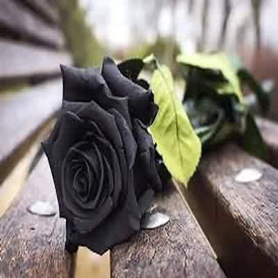 اهنگ یاندیردین قلبیمی آمان با صدای زن با صدای زن