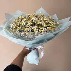 اهنگ وقتی میای صدای پات از همه جاده ها ریمیکس اینستا اهنگ وقتی میای صدای پات از همه جاده ها ریمیکس اینستا