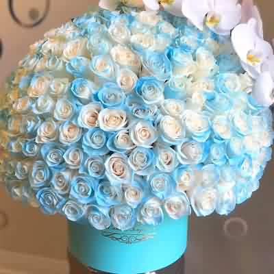 اهنگ بده من دلتو واقعنی با صدای زن هایده ریمیکس اینستا