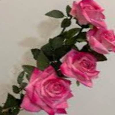 اهنگ dj asul no era amor با صدای زن ربمیکس اینستا اهنگ dj asul no era amor با صدای زن ربمیکس اینستا