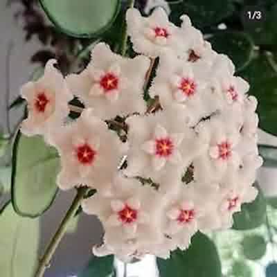 اهنگ مستی نمیکند اثر با صدای زن ریمیکس اینستا اهنگ مستی نمیکند اثر با صدای زن ریمیکس اینستا