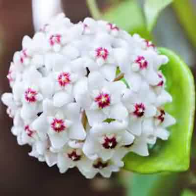 اهنگ قرار بشتی سیزده بدر با صدای زن ریمیکس اینستا اهنگ قرار بشتی سیزده بدر با صدای زن ریمیکس اینستا
