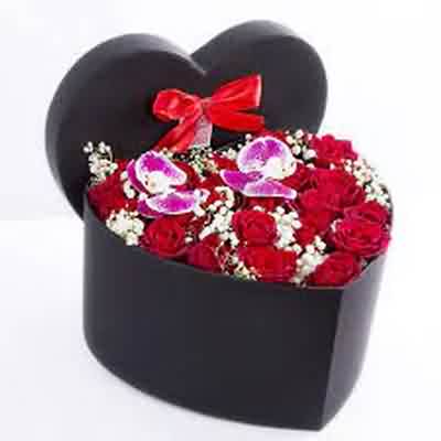 اهنگ برگ برنده ی دلم بعد تو خلو چلم ریمیکس اینستا اهنگ برگ برنده ی دلم بعد تو خلو چلم ریمیکس اینستا