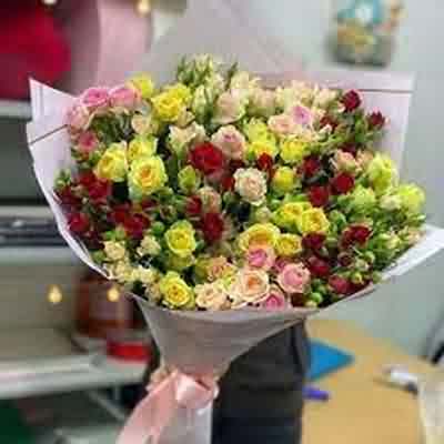 اهنگ صورت سفی ملوس فرشید حکمتی ریمیکس اینستا