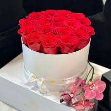 اهنگ عاشق شدم عاشق دوتا پا روی قایق با صدای زن ریمیکس اینستا اهنگ عاشق شدم عاشق دوتا پا روی قایق با صدای زن ریمیکس اینستا