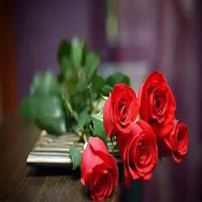اهنگ بازم شب بازم تو بازم فکرت از صبح با صدای دختر و زن اینستا ریمیکس