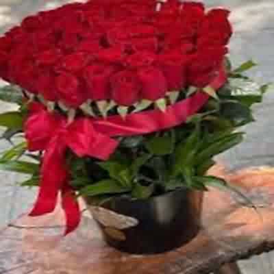 اهنگ وقتی دپرس یه گوشم وقتی اشتیاق ندارم به زنده بودن ریمیکس اینستا