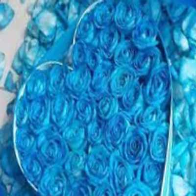 اهنگ افغانی akon & mavzuna - ne nagu 2 با صدای زن رمیکس اینستا اهنگ افغانی akon & mavzuna - ne nagu 2 با صدای زن رمیکس اینستا