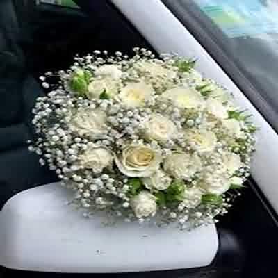 اهنگ ندارم حوصله هیچکسو ولی تو بیا ریمیکس اینستا