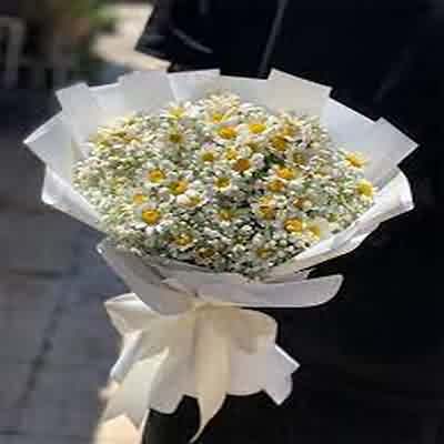 اهنگ واسه تو صد دفعه خوردم زمین حیف با صدای زن ریمیکس اینستا اهنگ واسه تو صد دفعه خوردم زمین حیف با صدای زن ریمیکس اینستا