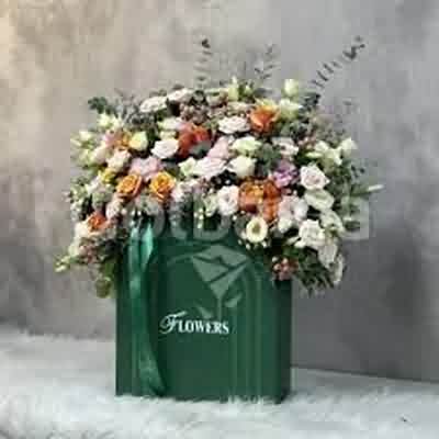 اهنگ غمتو نبینم قناری ریمیکس اینستا اهنگ غمتو نبینم قناری ریمیکس اینستا