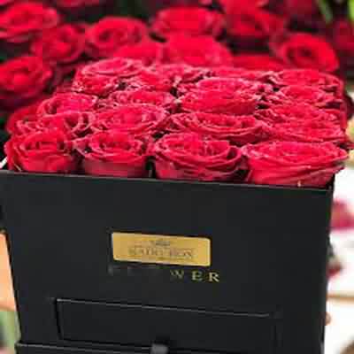 اهنگ برگرد بذار دوباره چشام تو چشای تو واشه با صدای زن ریمیکس اینستا
