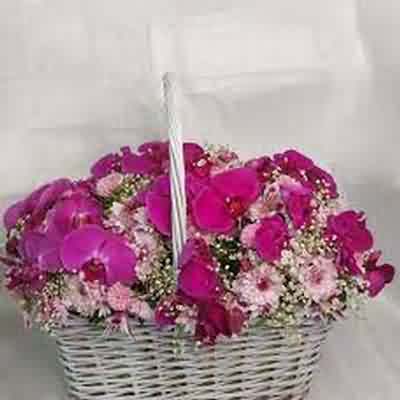 اهنگ منو تو و نور کم نور کم با یه موزیک دو شب ریمیکس اینستا اهنگ منو تو و نور کم نور کم با یه موزیک دو شب ریمیکس اینستا