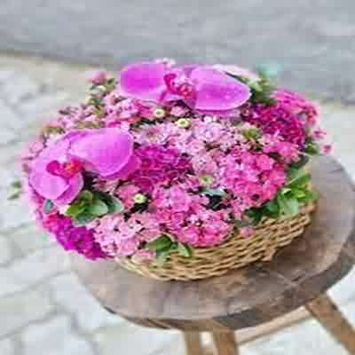 اهنگ دسم عه نوم دست بو آرزومه ریمیکس اینستا